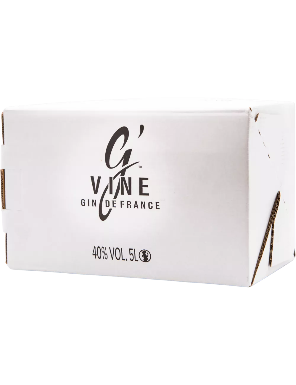 G'Vine - Floraison - CUBI 5L - Gin