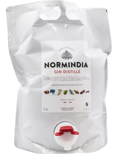 Normindia - CUBI 3L - Gin