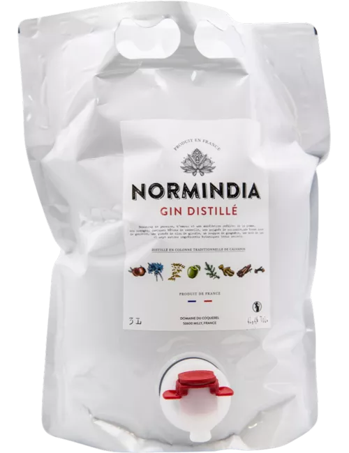 Normindia - CUBI 3L - Gin