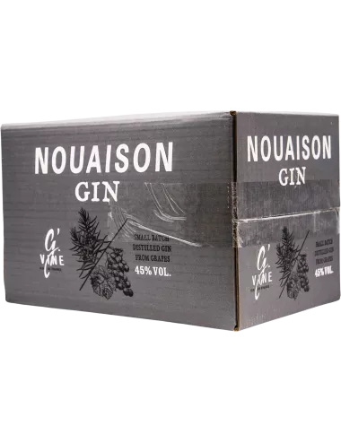 G'Vine - Nouaison - CUBI 5L - Gin