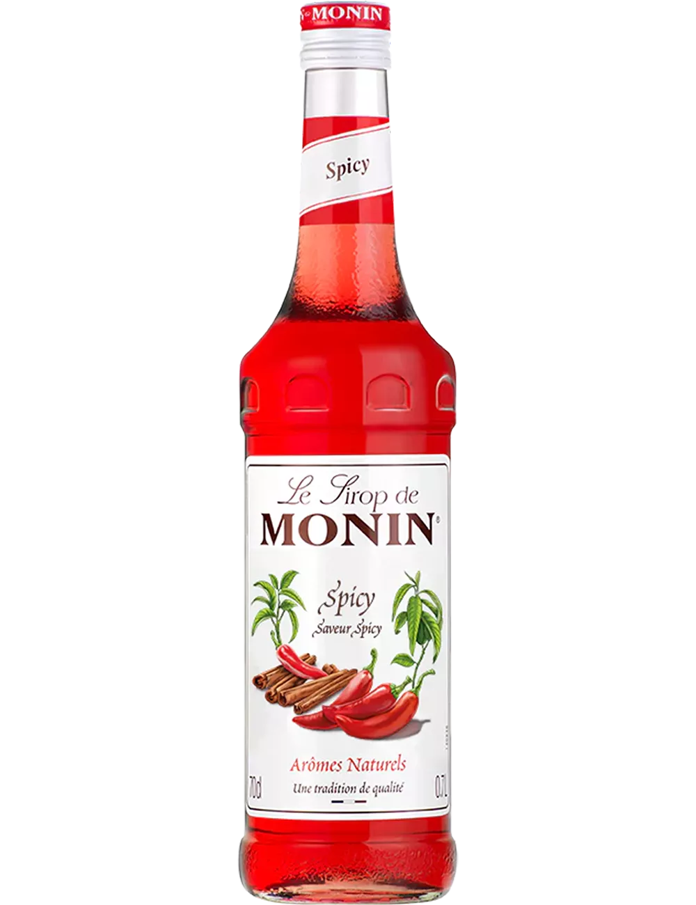 Sirop de Spicy - Monin
