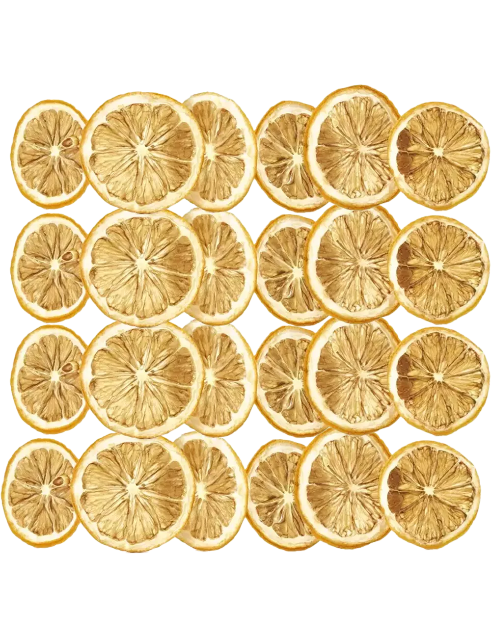 Citrons - Plateau de 295g - Fruits Déshydratés